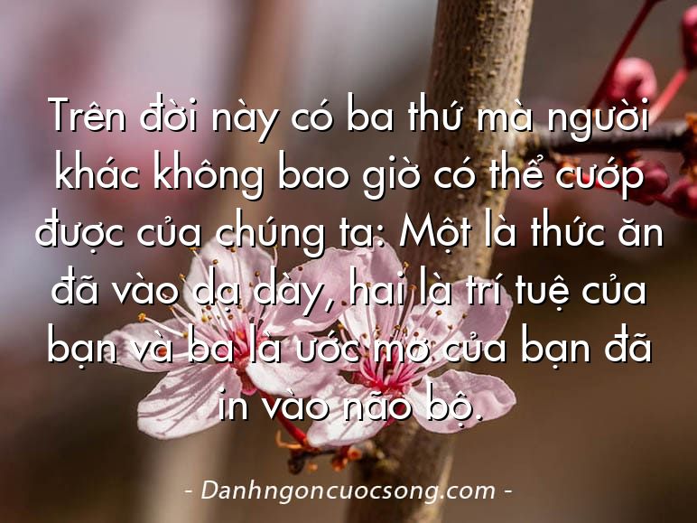 Trên đời này có ba thứ mà người khác không bao giờ có thể cướp được của chúng ta: Một là thức ăn đã vào dạ dày, hai là trí tuệ của bạn và ba là ước mơ của bạn đã in vào não bộ.
