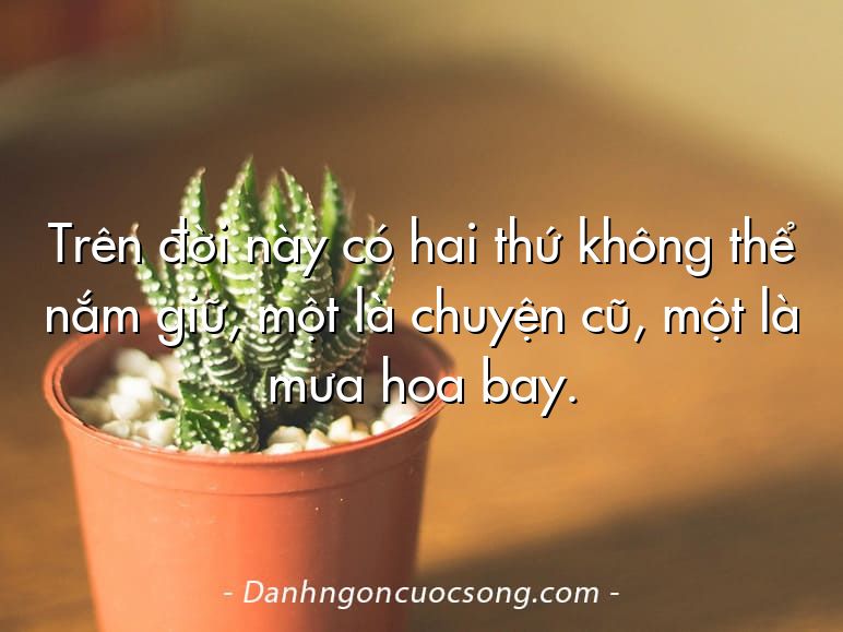 Trên đời này có hai thứ không thể nắm giữ, một là chuyện cũ, một là mưa hoa bay.
