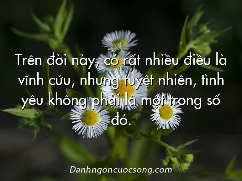 Trên đời này, có rất nhiều điều là vĩnh cửu, nhưng tuyệt nhiên, tình yêu không phải là một trong số đó.