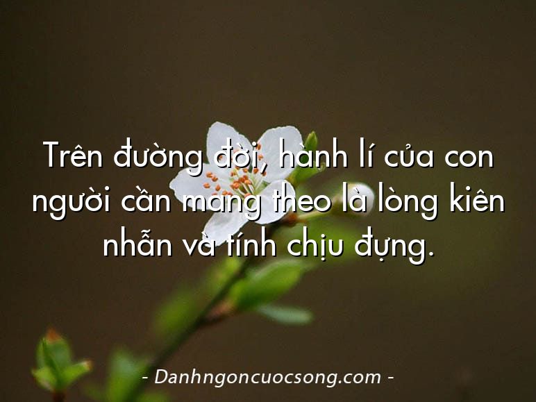 Trên đường đời, hành lí của con người cần mang theo là lòng kiên nhẫn và tính chịu đựng.