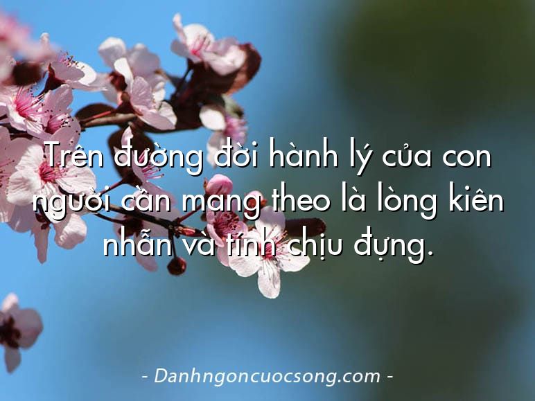 Trên đường đời hành lý của con người cần mang theo là lòng kiên nhẫn và tính chịu đựng.