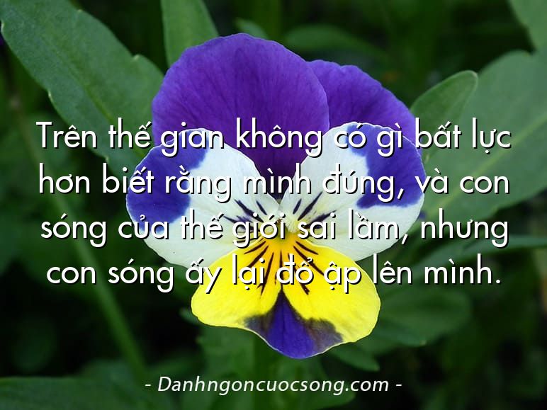 Trên thế gian không có gì bất lực hơn biết rằng mình đúng, và con sóng của thế giới sai lầm, nhưng con sóng ấy lại đổ ập lên mình.