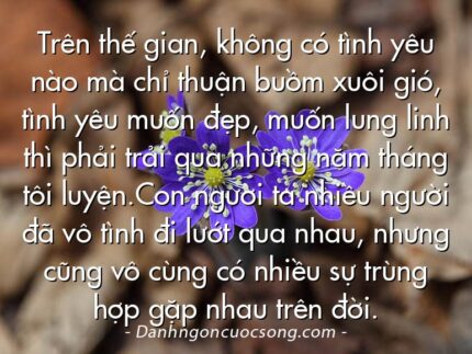 Trên thế gian, không có tình yêu nào mà chỉ thuận buồm xuôi gió, tình yêu muốn đẹp, muốn lung linh thì phải trải qua những năm tháng tôi luyện.Con người ta nhiều người đã vô tình đi lướt qua nhau, nhưng cũng vô cùng có nhiều sự trùng hợp gặp nhau trên đời.