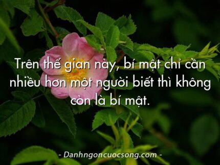Trên thế gian này, bí mật chỉ cần nhiều hơn một người biết thì không còn là bí mật.