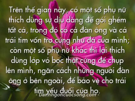 Trên thế gian này, có một số phụ nữ thích dùng sự dịu dàng để gói ghém tất cả, trong đó có cả đàn ông và cả trái tim vốn trơ cứng như đá của mình; còn một số phụ nữ khác thì lại thích dùng lớp vỏ bọc thật cứng để chụp lên mình, ngăn cách những người đàn ông ở bên ngoài, để bảo vệ cho trái tim yếu đuối của họ.