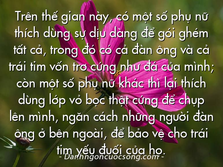 Trên thế gian này, có một số phụ nữ thích dùng sự dịu dàng để gói ghém tất cả, trong đó có cả đàn ông và cả trái tim vốn trơ cứng như đá của mình; còn một số phụ nữ khác thì lại thích dùng lớp vỏ bọc thật cứng để chụp lên mình, ngăn cách những người đàn ông ở bên ngoài, để bảo vệ cho trái tim yếu đuối của họ.