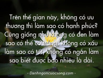 Trên thế gian này, không có ưu thương thì làm sao có hạnh phúc? Cũng giống như không có đen làm sao có thể có trắng, không có xấu làm sao có tốt, không có ngắn làm sao biết được bao nhiêu là dài.