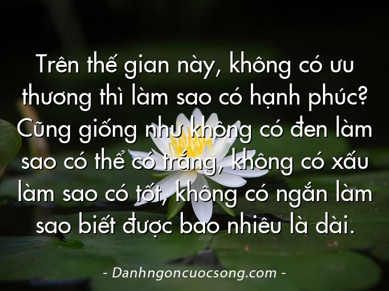Trên thế gian này, không có ưu thương thì làm sao có hạnh phúc? Cũng giống như không có đen làm sao có thể có trắng, không có xấu làm sao có tốt, không có ngắn làm sao biết được bao nhiêu là dài.