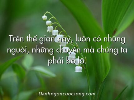 Trên thế gian này, luôn có những người, những chuyện mà chúng ta phải bỏ lỡ.