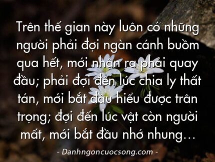 Trên thế gian này luôn có những người phải đợi ngàn cánh buồm qua hết, mới nhận ra phải quay đầu; phải đợi đến lúc chia ly thất tán, mới bắt đầu hiểu được trân trọng; đợi đến lúc vật còn người mất, mới bắt đầu nhớ nhung…