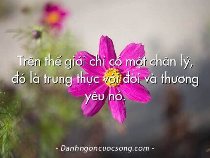 Trên thế giới chỉ có một chân lý, đó là trung thực với đời và thương yêu nó.