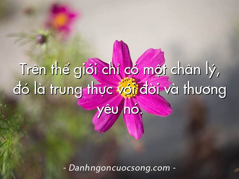 Trên thế giới chỉ có một chân lý, đó là trung thực với đời và thương yêu nó.