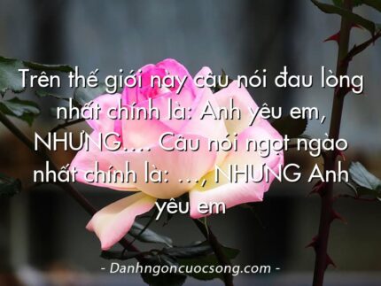 Trên thế giới này câu nói đau lòng nhất chính là: Anh yêu em, NHƯNG…. Câu nói ngọt ngào nhất chính là: …, NHƯNG Anh yêu em