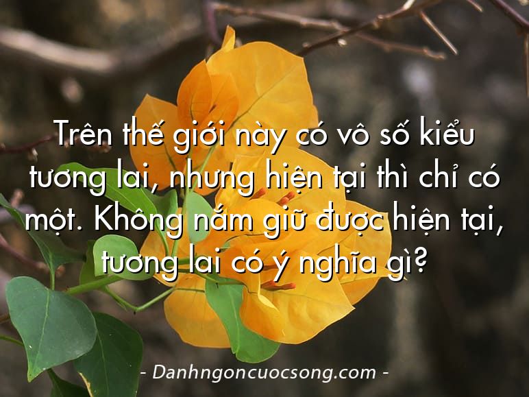 Trên thế giới này có vô số kiểu tương lai, nhưng hiện tại thì chỉ có một. Không nắm giữ được hiện tại, tương lai có ý nghĩa gì?