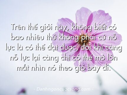 Trên thế giới này, không biết có bao nhiêu thứ không phải cứ nỗ lực là có thể đạt được, đôi khi càng nỗ lực lại càng chỉ có thể mở lớn mắt nhìn nó theo gió bay đi.
