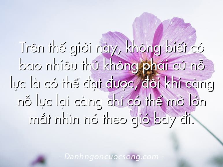Trên thế giới này, không biết có bao nhiêu thứ không phải cứ nỗ lực là có thể đạt được, đôi khi càng nỗ lực lại càng chỉ có thể mở lớn mắt nhìn nó theo gió bay đi.