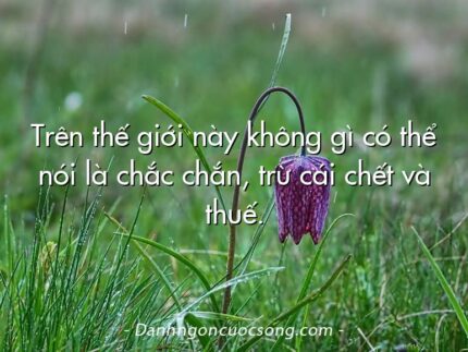 Trên thế giới này không gì có thể nói là chắc chắn, trừ cái chết và thuế.