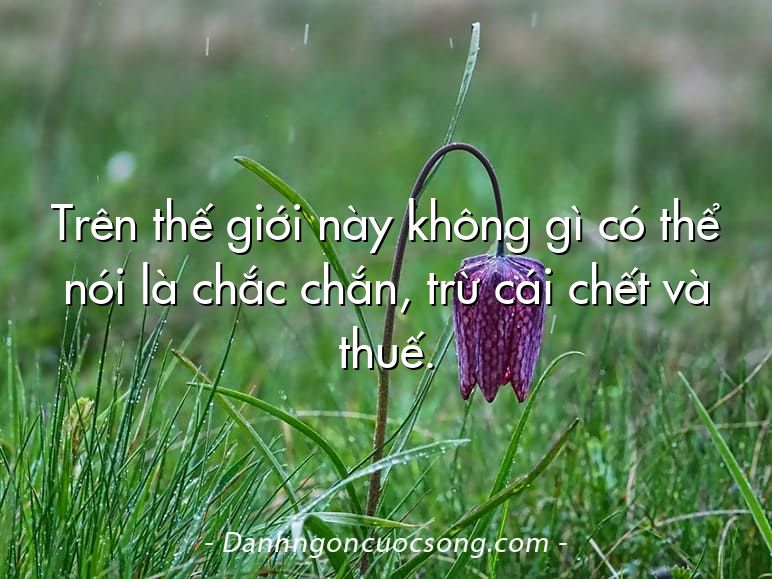 Trên thế giới này không gì có thể nói là chắc chắn, trừ cái chết và thuế.
