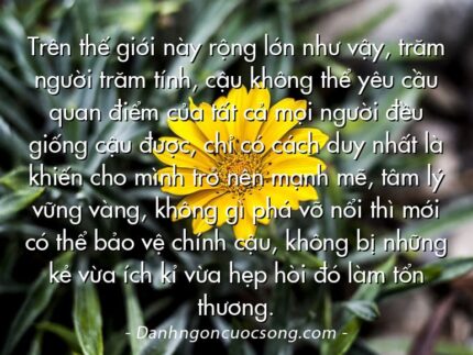 Trên thế giới này rộng lớn như vậy, trăm người trăm tính, cậu không thể yêu cầu quan điểm của tất cả mọi người đều giống cậu được, chỉ có cách duy nhất là khiến cho mình trở nên mạnh mẽ, tâm lý vững vàng, không gì phá vỡ nổi thì mới có thể bảo vệ chính cậu, không bị những kẻ vừa ích kỉ vừa hẹp hòi đó làm tổn thương.