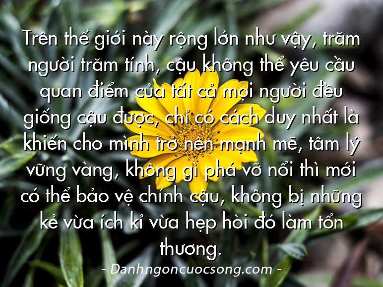 Trên thế giới này rộng lớn như vậy, trăm người trăm tính, cậu không thể yêu cầu quan điểm của tất cả mọi người đều giống cậu được, chỉ có cách duy nhất là khiến cho mình trở nên mạnh mẽ, tâm lý vững vàng, không gì phá vỡ nổi thì mới có thể bảo vệ chính cậu, không bị những kẻ vừa ích kỉ vừa hẹp hòi đó làm tổn thương.