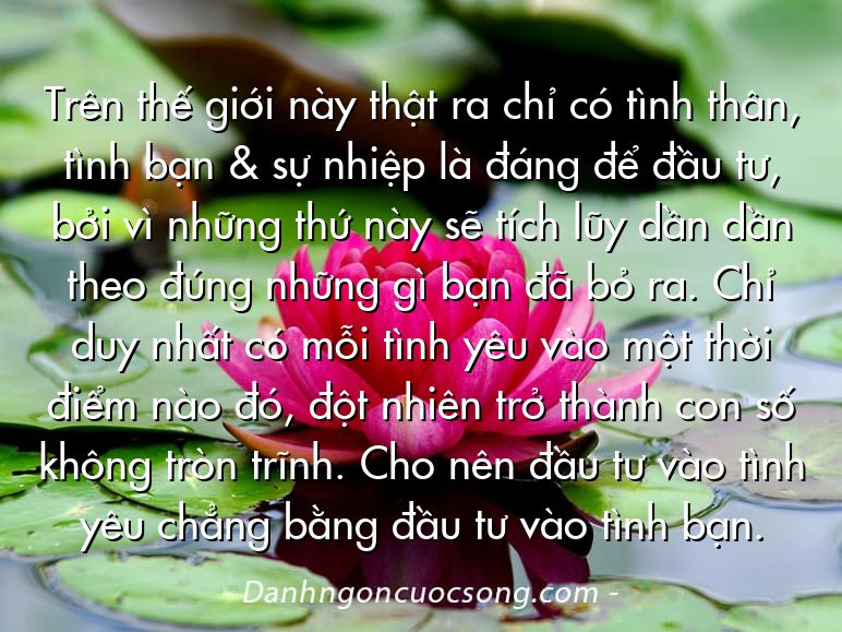 Trên thế giới này thật ra chỉ có tình thân, tình bạn & sự nhiệp là đáng để đầu tư, bởi vì những thứ này sẽ tích lũy dần dần theo đúng những gì bạn đã bỏ ra. Chỉ duy nhất có mỗi tình yêu vào một thời điểm nào đó, đột nhiên trở thành con số không tròn trĩnh. Cho nên đầu tư vào tình yêu chẳng bằng đầu tư vào tình bạn.
