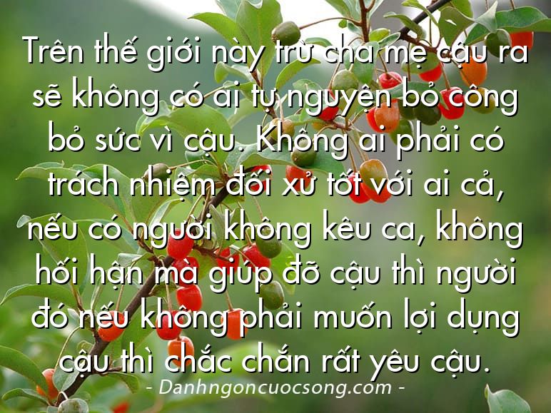 Trên thế giới này trừ cha mẹ cậu ra sẽ không có ai tự nguyện bỏ công bỏ sức vì cậu. Không ai phải có trách nhiệm đối xử tốt với ai cả, nếu có người không kêu ca, không hối hận mà giúp đỡ cậu thì người đó nếu không phải muốn lợi dụng cậu thì chắc chắn rất yêu cậu.
