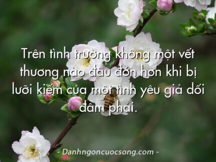 Trên tình trường không một vết thương nào đau đớn hơn khi bị lưỡi kiếm của một tình yêu giả dối đâm phải.