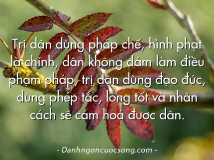 Trị dân dùng pháp chế, hình phạt là chính, dân không dám làm điều phạm pháp, trị dân dùng đạo đức, dùng phép tắc, lòng tốt và nhân cách sẽ cảm hoá được dân.