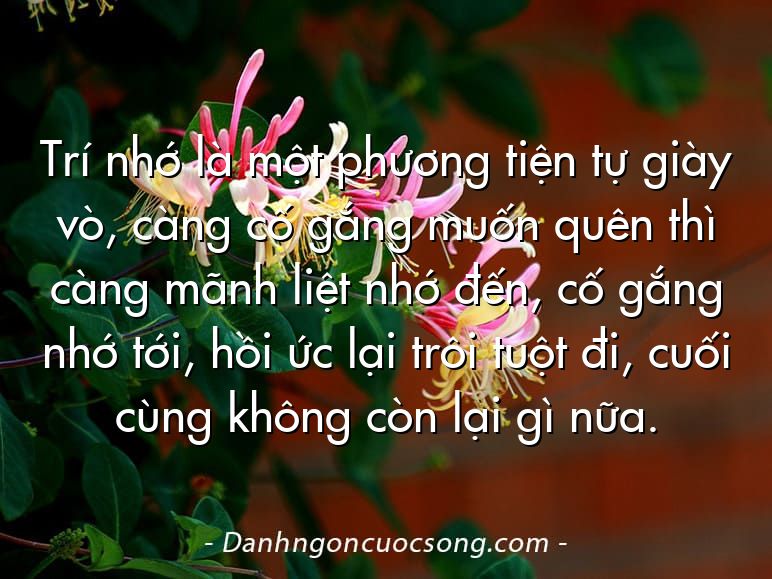 Trí nhớ là một phương tiện tự giày vò, càng cố gắng muốn quên thì càng mãnh liệt nhớ đến, cố gắng nhớ tới, hồi ức lại trôi tuột đi, cuối cùng không còn lại gì nữa.