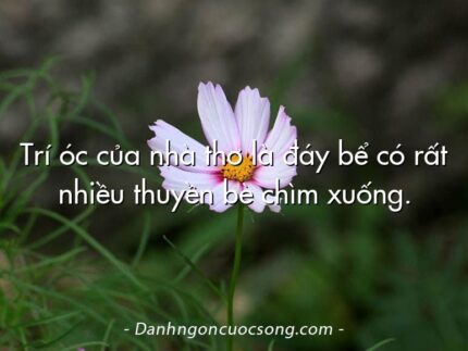 Trí óc của nhà thơ là đáy bể có rất nhiều thuyền bè chìm xuống.