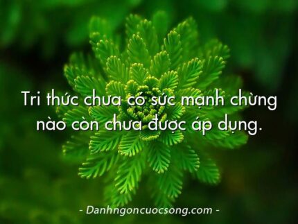 Tri thức chưa có sức mạnh chừng nào còn chưa được áp dụng.