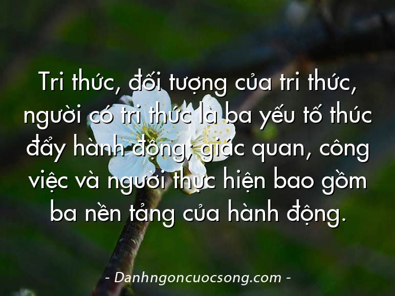 Tri thức, đối tượng của tri thức, người có tri thức là ba yếu tố thúc đẩy hành động; giác quan, công việc và người thực hiện bao gồm ba nền tảng của hành động.