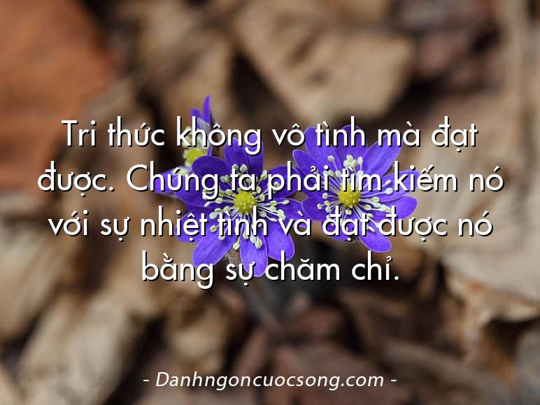 Tri thức không vô tình mà đạt được. Chúng ta phải tìm kiếm nó với sự nhiệt tình và đạt được nó bằng sự chăm chỉ.