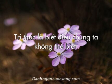 Tri thức là biết điều chúng ta không thể biết.