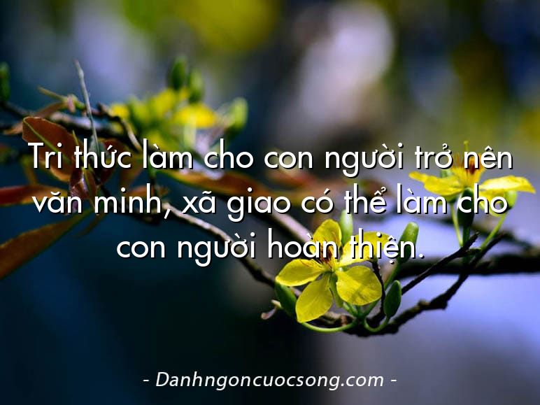 Tri thức làm cho con người trở nên văn minh, xã giao có thể làm cho con người hoàn thiện.