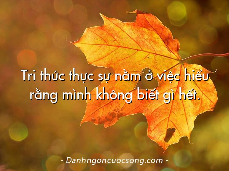 Tri thức thực sự nằm ở việc hiểu rằng mình không biết gì hết.
