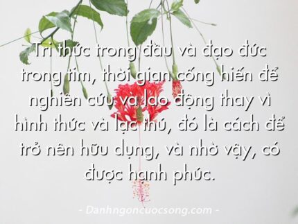 Tri thức trong đầu và đạo đức trong tim, thời gian cống hiến để nghiên cứu và lao động thay vì hình thức và lạc thú, đó là cách để trở nên hữu dụng, và nhờ vậy, có được hạnh phúc.