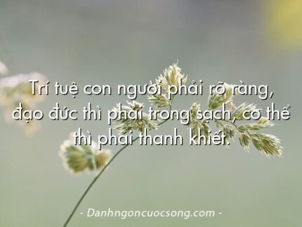 Trí tuệ con người phải rõ ràng, đạo đức thì phải trong sạch, cơ thể thì phải thanh khiết.
