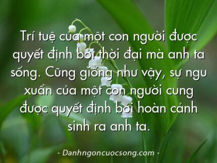 Trí tuệ của một con người được quyết định bởi thời đại mà anh ta sống. Cũng giống như vậy, sự ngu xuẩn của một con người cung được quyết định bởi hoàn cảnh sinh ra anh ta.