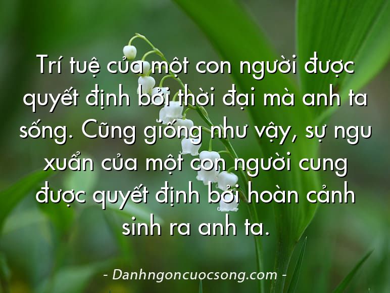 Trí tuệ của một con người được quyết định bởi thời đại mà anh ta sống. Cũng giống như vậy, sự ngu xuẩn của một con người cung được quyết định bởi hoàn cảnh sinh ra anh ta.