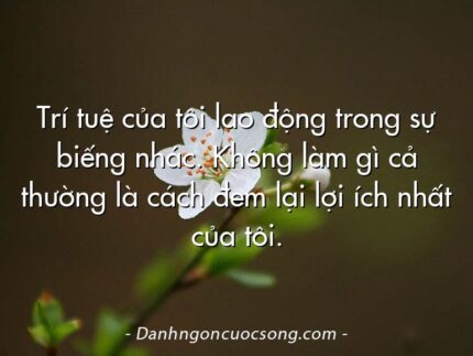 Trí tuệ của tôi lao động trong sự biếng nhác. Không làm gì cả thường là cách đem lại lợi ích nhất của tôi.