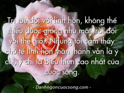 Trí tuệ đối với linh hồn, không thể thiếu được giống như mặt trời đối với thế giới. Nhưng tôi cảm thấy chủ tể linh hồn thần thánh vẫn là ý chí, ý chí là biểu hiện cao nhất của cuộc sống.