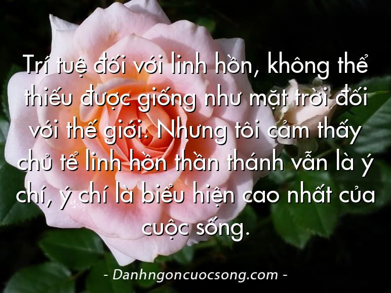 Trí tuệ đối với linh hồn, không thể thiếu được giống như mặt trời đối với thế giới. Nhưng tôi cảm thấy chủ tể linh hồn thần thánh vẫn là ý chí, ý chí là biểu hiện cao nhất của cuộc sống.