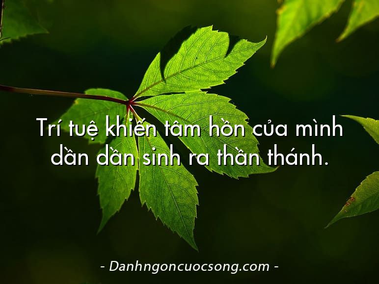 Trí tuệ khiến tâm hồn của mình dần dần sinh ra thần thánh.