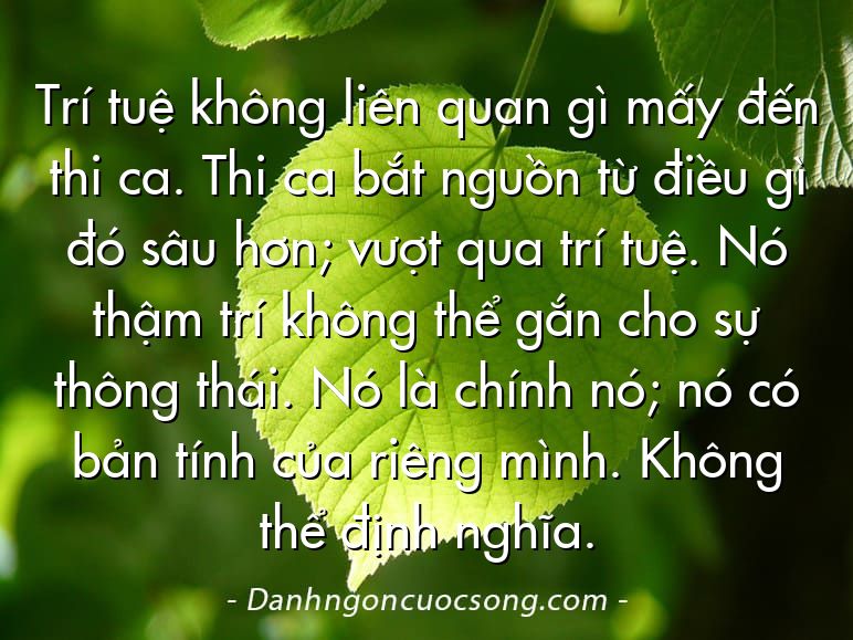 Trí tuệ không liên quan gì mấy đến thi ca. Thi ca bắt nguồn từ điều gì đó sâu hơn; vượt qua trí tuệ. Nó thậm trí không thể gắn cho sự thông thái. Nó là chính nó; nó có bản tính của riêng mình. Không thể định nghĩa.