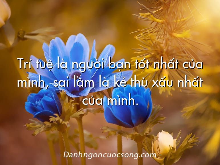 Trí tuệ là người bạn tốt nhất của mình, sai lầm là kẻ thù xấu nhất của mình.