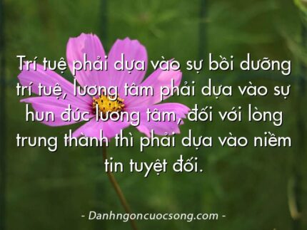 Trí tuệ phải dựa vào sự bồi dưỡng trí tuệ, lương tâm phải dựa vào sự hun đúc lương tâm, đối với lòng trung thành thì phải dựa vào niềm tin tuyệt đối.