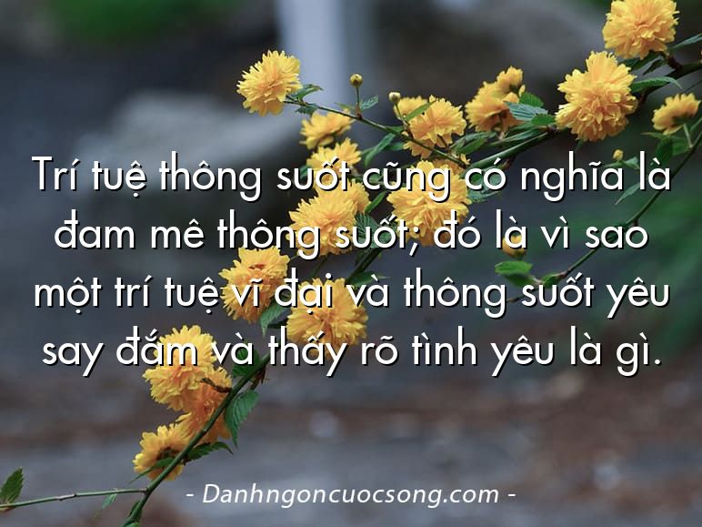 Trí tuệ thông suốt cũng có nghĩa là đam mê thông suốt; đó là vì sao một trí tuệ vĩ đại và thông suốt yêu say đắm và thấy rõ tình yêu là gì.