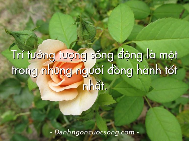 Trí tưởng tượng sống động là một trong những người đồng hành tốt nhất.