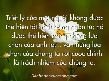 Triết lý của một người không được thể hiện tốt nhất bằng ngôn từ; nó được thể hiện trong những lựa chọn của anh ta… và những lựa chọn của chúng ta rốt cuộc chính là trách nhiệm của chúng ta.